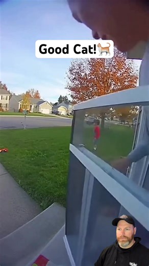 Good cat saves kid from Cougar attack #goodcat | Cafe Eden