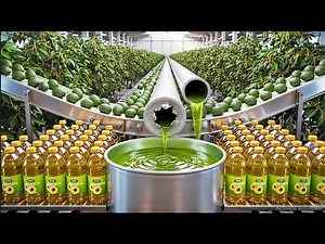 Inside a Modern Avocado Oil Factory – Step by Step Production 🥑