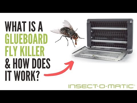 What is a Glueboard Fly Killer and How Does it Work?
