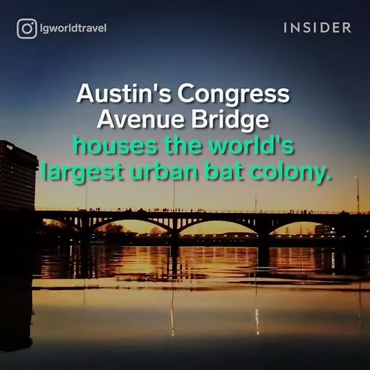 People line up to watch a million bats fly under this bridge