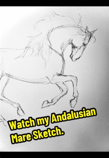 I love getting ideas from y’all for what horse breeds to sketch. I really love #andalusian #horses so this was an absolute pleasure to sketch. Thank you for the idea @Kay-ayron 💕