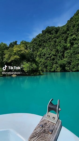 Crocodile in the Sea - Saltwater Crocodile Encounter