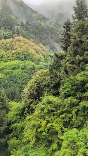Journeying Through, Koyasan, Japan, One Life Adventures from laura k. 🇯🇵