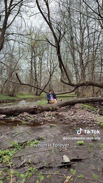 Understanding Avoidance: Three Key Strategies