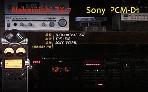 《世外桃源》-许巍 Nakamichi ZX7磁带翻录版-Sony PCM-D1采集