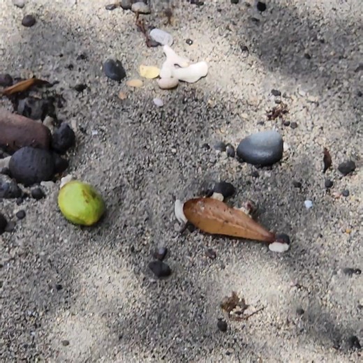 MOUNT PANDY BEACH FOREVER. | Anthony W. DeRiggs