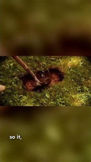 Building a Shed: Digging and Setting Blocks #diy #Shed #Digging #Blocks