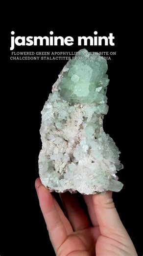 JASMINE MINT 💕💚Flowered Green Apophyllite from Pune, India! This pocket has beautiful Green Apophyllite with fascinating formations. The Apophyllite formed points over and over again, giving us what we call “Crenelated” points. Pune, India produces beautiful Green Apophyllite pockets and the Green in these specimens is due to Vanadium inclusions. These are available on our Sunday show at 4pm est. We just unboxed these specimens, but originally debuted this pocket in January of 2025! A little a