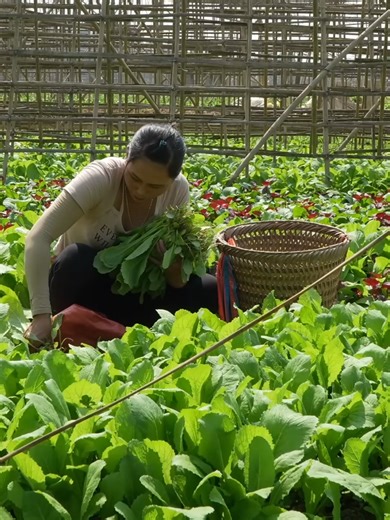 Build a Beautiful Wooden Kitchen in the Forest