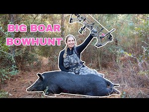 Bowhunting BIG Boar Hog