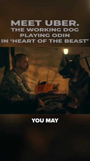 Meet Uber. | Stratos K9
