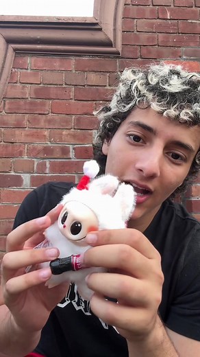 Unboxing My First LA Boo Boo: Meet Bob!