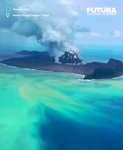 2.8M views · 30K reactions | [] Dans l'archipel des îles Tonga, des...