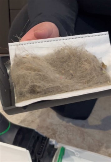 ✨ Team canapé clean ici ! Aujourd’hui je redonne un coup de frais à mon canapé avec le Kobold de chez Vorwerk 😍 Franchement, on ne se rend pas compte de tout ce qui se cache dedans… Et vous alors 👀 🛋️ Vous aspirez votre canapé tous les combien de temps ? – Toutes les semaines ? – 1 fois par mois ? – Seulement quand il y a des miettes ? 😂 Dites-moi en commentaire, je suis trop curieuse de savoir ! 👇 #CleanTok #RoutineMenage #MaisonPropre #MenageDuJour #AstucesMaison