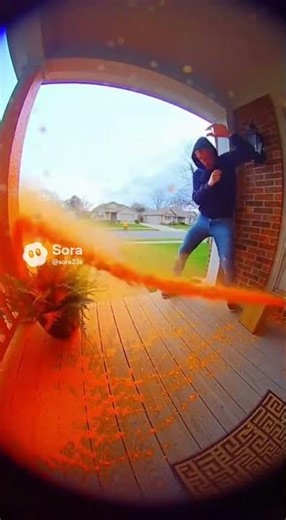 Those very people have been caught 🤭😂📦💥 #video #memes #box #funny #comedy #prank #furry #fun