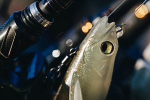 Hop aboard with elite series pro Chris Zaldain as he walks you through his top secrets when Dock Fishing with the Magdraft Swimbait. • Refine your approach and casting angle • Boat positioning plays a major role • Take the time to line up your cast • Fish methodically Products used in this video: Magdraft Freestyle- https://megabass.fish/MagdraftFreestyle Magdraft (6in)- https://megabass.fish/Magdraft6 | Megabass of America