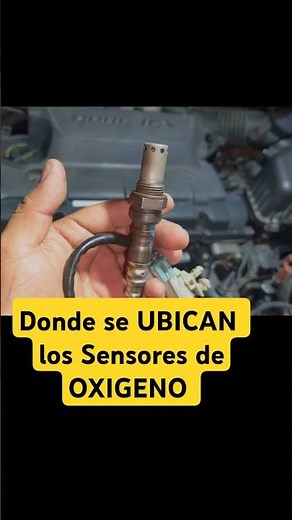 Where are Oxygen Sensors Located? #shortsfeed #automobile