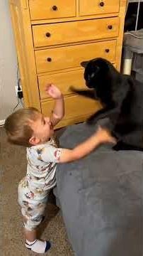 Funny Cats and Kids Compilation 🤣 #cats #funnycats #pets #animals #fyp #viral #shorts