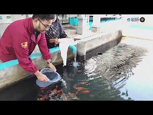 TUTORIAL PENGGUNAAN PLANKTON NET
