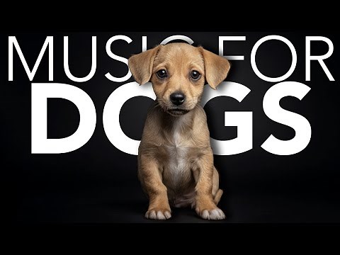 10 HOURS of Dog Relaxing Music 💖🦮 Chill Music Dogs Love to Sleep To