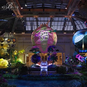 213K views · 5.6K reactions | "Flights of Fancy" has taken off in our...