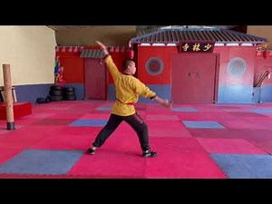 Shaolin Kung Fu Livestream 26 · Shaolin online training