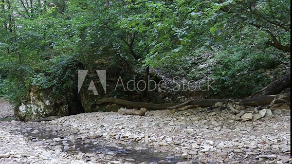 Spring full-flowing stream on a mountain river, created by melting snow on mountain slopes
