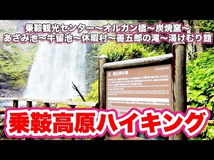 雨の日でも楽しめる！乗鞍高原ハイキング！標高1590m！夏でも涼しい高原散歩！【旅行VLOG、レビュー】乗鞍観光センター〜オルガン橋〜炭焼窯〜あざみ池〜牛留池〜休暇村〜善五郎の滝〜湯けむり館