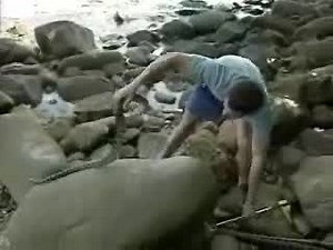 The Jeff Corwin Experience (TV Series 2001– ) ⭐ 7.2 | Adventure, Documentary