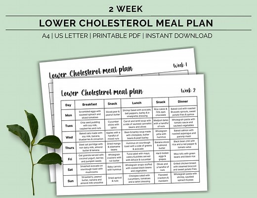 Cholesterol Lowering Printable Meal Plan, Low Cholesterol Food List, Lowering Cholesterol Diet, Weekly Meal Planner, HDL & LDL, Download Pdf - Etsy