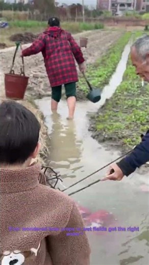 Farm Irrigation: How Workers Use Pipes to Bring Water to Crops