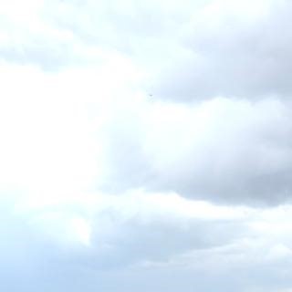 🎥 Red Arrows fly over Buckingham Palace Follow the latest here 👇 https://www.telegraph.co.uk/news/2025/05/05/victory-ve-day-parade-london-live-updates/ | The Telegraph