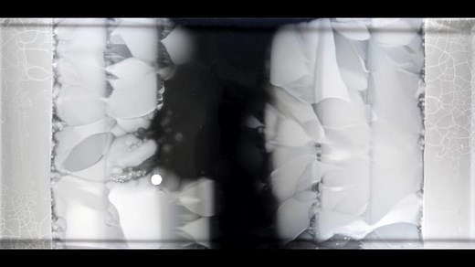 Watch as Bacteria Evolve Antibiotic Resistance in a Gigantic Petri Dish