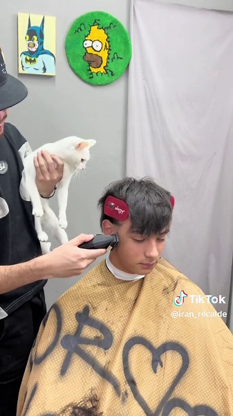 Mullet Mod Cut: Explora las Tendencias de este Corte