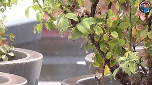 10K views · 50 reactions | Footage shot at approximately 11:29 a.m....