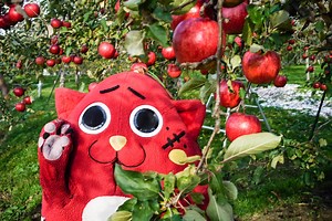 Meet Nyango Star: This heavy metal cat mascot is trying to save a rural farm town in Japan