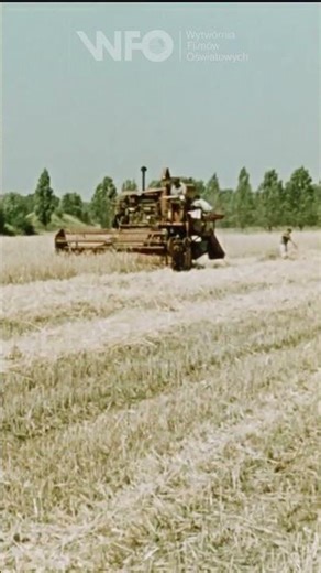 "Krajobraz Niziny Mazowieckiej" (1971) cały film obejrzycie: https://youtu.be/LqVq8JbL34Q