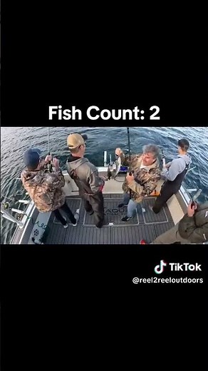 Catching Salmon Fast!!!