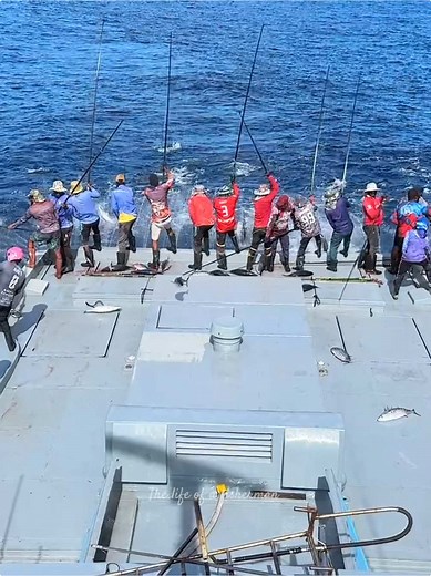 Pole and Line Tuna Fishing: Techniques and Tips