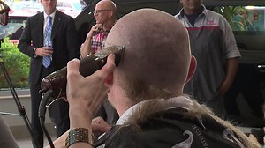 Battling and Buzzing off Cancer