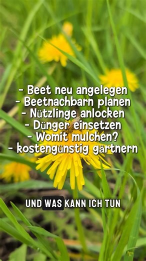 ErnteExperte on Instagram: "Nur noch bis Ende Januar kannst du mein Buch ohne Aufpreis inklusive Signatur und Lesezeichen bei @autorenwelt vorbestellen. Einen Blick ins Buch werfen kannst du jetzt schon auf der großen Website mit A.... 😅 ab dem 22. Januar gibt's das Buch dann auch im Handel bei jeder Buchhandlung zu bestellen! Den Link zur Vorbestellung findest du auf meinem Profil. #gemüsegarten #gartentipps #garten #beet #Gemüsebeet #Buch #bookgram #pflanzentipps #tippsundtricks #buchempfehlu