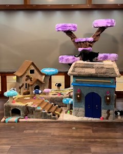 A cat crib fit for royalty! 😽👑 | Furry Tails