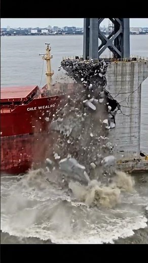 What Happens After Ship Hits Bridge? #Aftermath