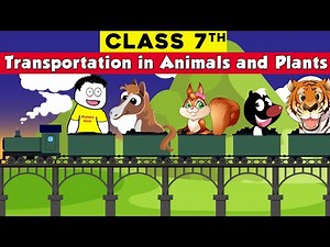 class 7 science chapter 11 - Transportation in Animals and Plants | CBSE Class 7