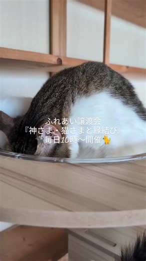 Endless sorrow (1サビver.) - 浜崎あゆみを使っているてん (@kiyoapower)の動画