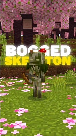 Every Skeleton Variants Of Minecraft
