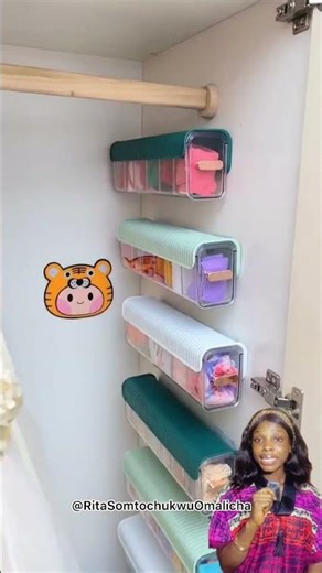 Mini portable storage bin #bin #viral #storage