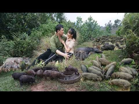 360 days living in the forest, clearing land, taming wild boars, and surviving