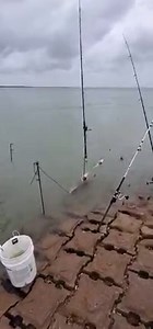 Wow!! Gaymans Bridge on Mega Fire 🔥!!! Quality Live Shrimp and Fresh Finger Size Mullet!! You can't go wrong. One stop at #brownsvillebaitandtackle . All your fishing needs. Fish On Brother's and Sister's!!! | Brownsville Bait & Tackle