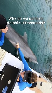 2.9K views · 1.7K reactions | Ultrasound exams are a key part of our...